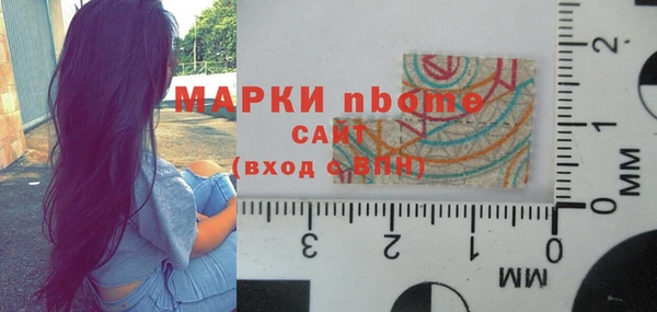 молекула духа Няндома