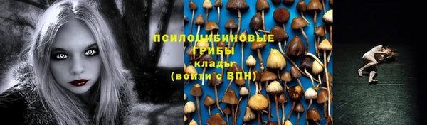 гашик Нягань