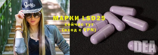PSILOCYBIN Нязепетровск