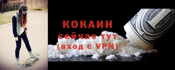 PSILOCYBIN Нязепетровск