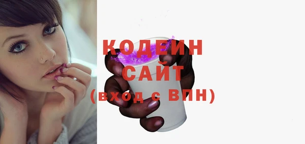 шишки Новозыбков