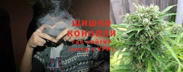 молекула духа Няндома