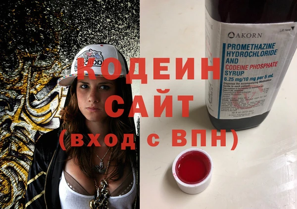 гашик Нягань