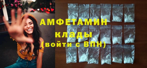 молекула духа Няндома