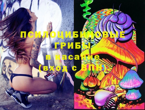 PSILOCYBIN Нязепетровск