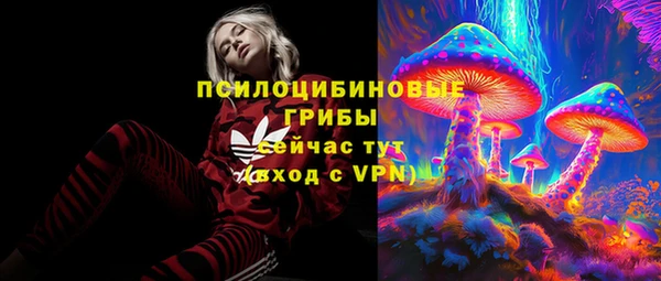 PSILOCYBIN Нязепетровск