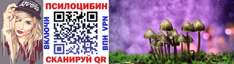 Галлюциногенные грибы MAGIC MUSHROOMS  купить наркоту  Ейск 