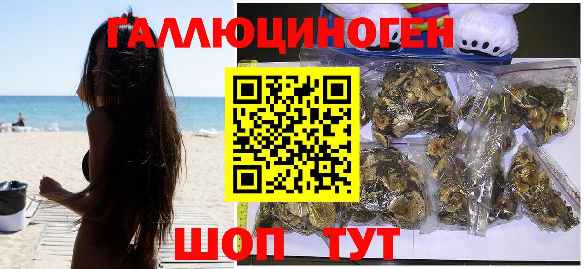 Псилоцибиновые грибы Psilocybe Ейск
