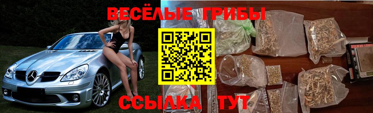 Галлюциногенные грибы мухоморы Ейск