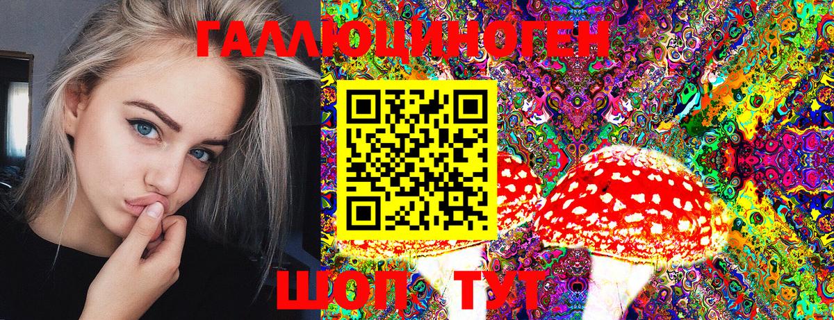 Псилоцибиновые грибы GOLDEN TEACHER  Вход с VPN  Ейск  Галлюциногенные грибы Psilocybine cubensis 